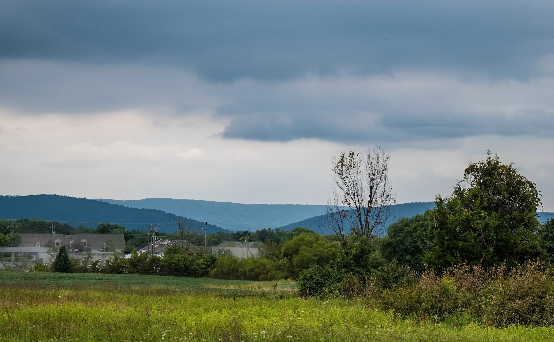 Mountain View Homestead farm
