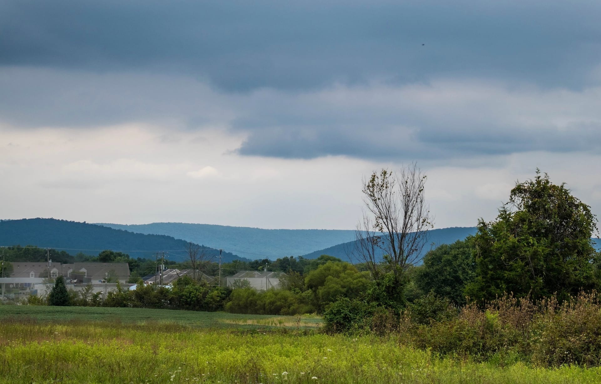 Mountain View Homestead farm